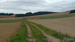 Le chemin