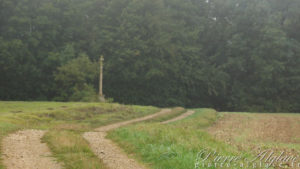 En Chemin