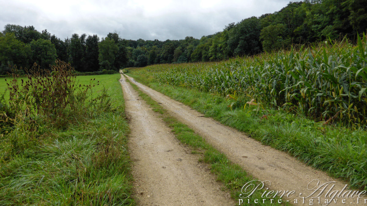 En Chemin