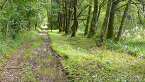 En Chemin