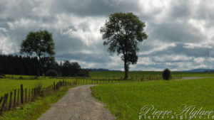 En chemin