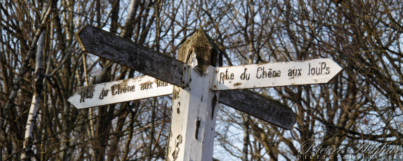 S'orienter dans le site