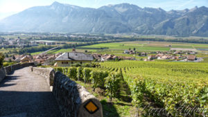 Vue depuis Yvorne