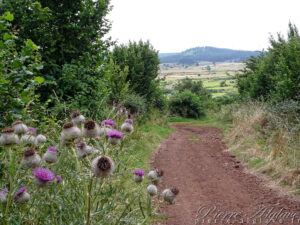 En Chemin