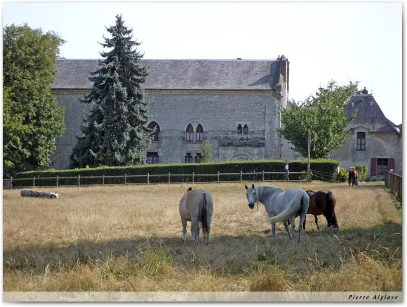 Abbaye de l\'Ouye