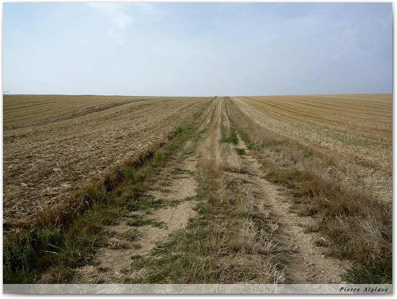 Le chemin