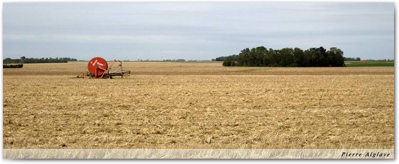 C\'est la fin des moissons