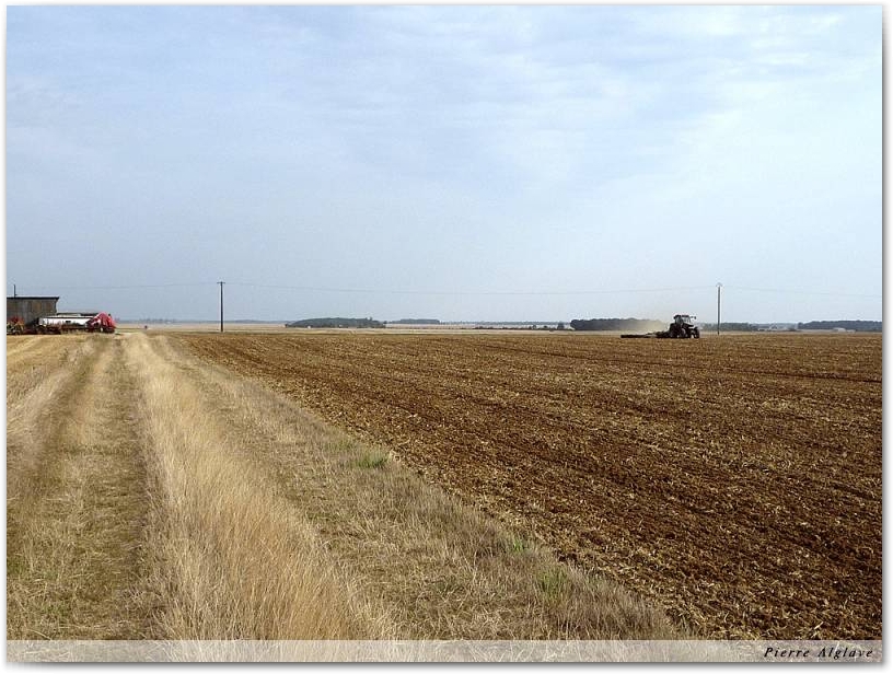 Le chemin