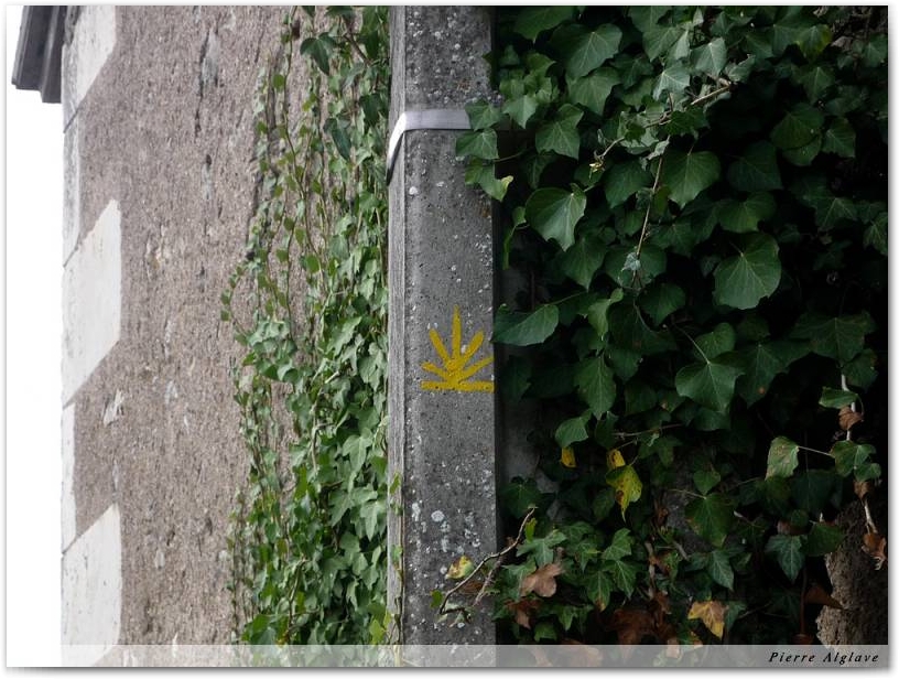 Enfin des signes !