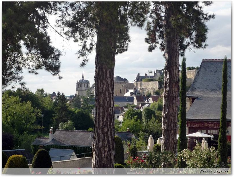 Le château vu du Clos Lucé