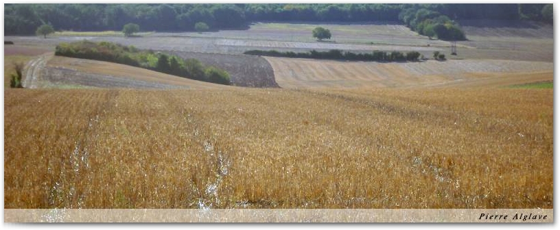 Variété du paysage