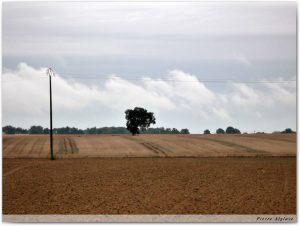 En chemin
