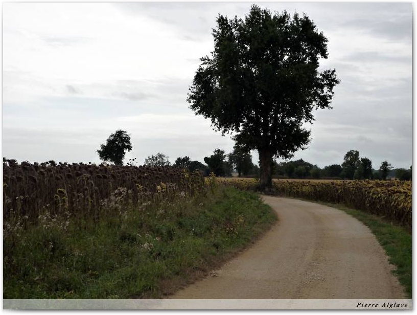 En chemin