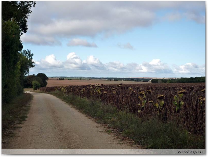En chemin