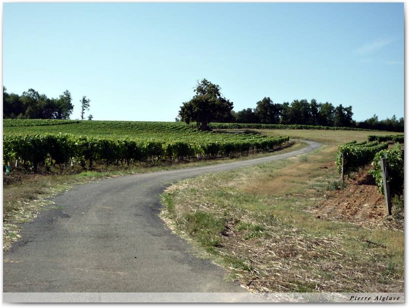 Le chemin