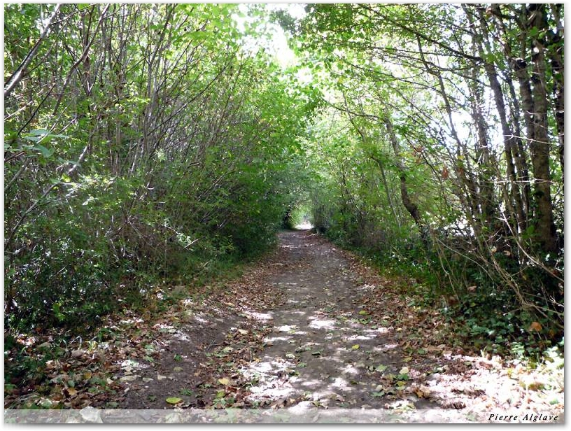 Le chemin