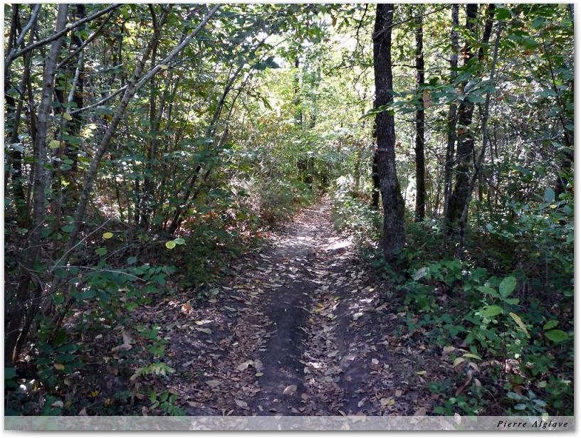 Le chemin