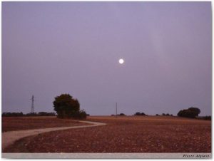 Le petit matin