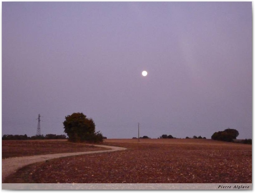 Le petit matin