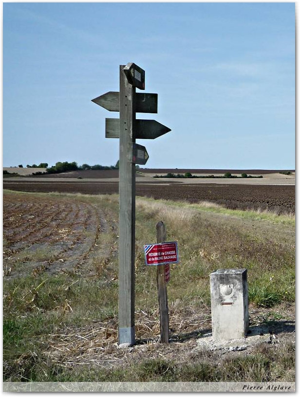 Le chemin