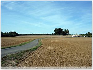En chemin