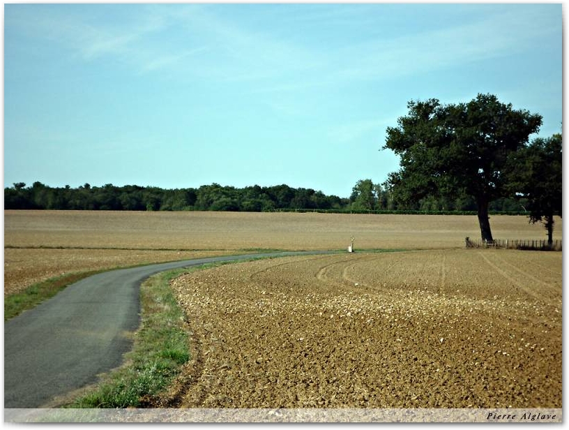 En chemin
