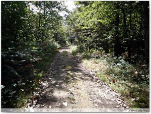 En chemin
