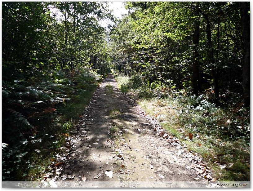 En chemin