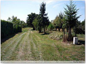 En chemin