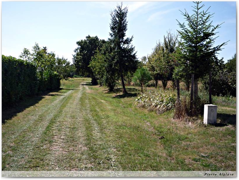 En chemin
