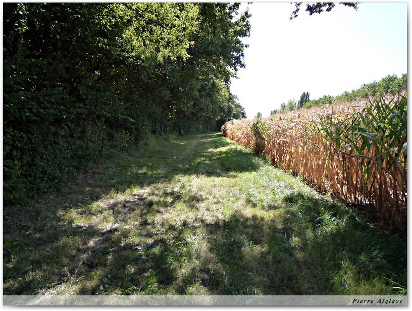 En chemin