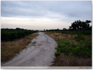 En chemin