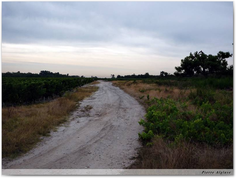 En chemin