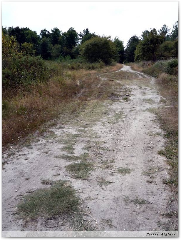 En chemin
