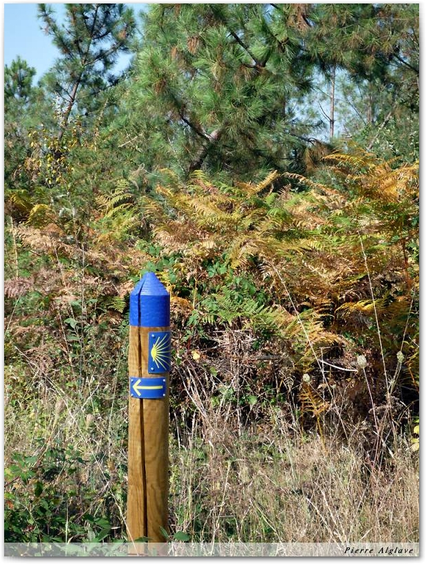 Balises du Chemin dans les Landes