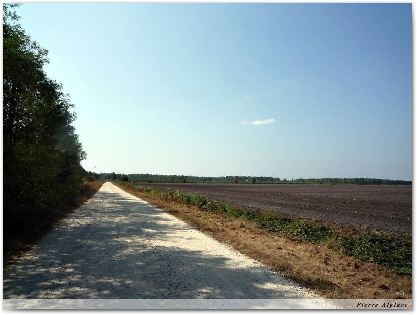 En chemin