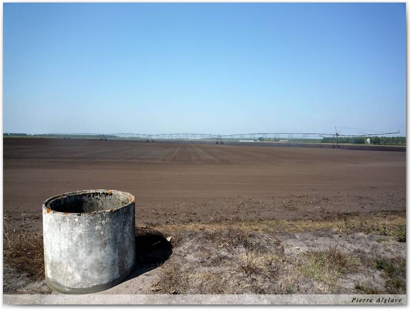 En chemin