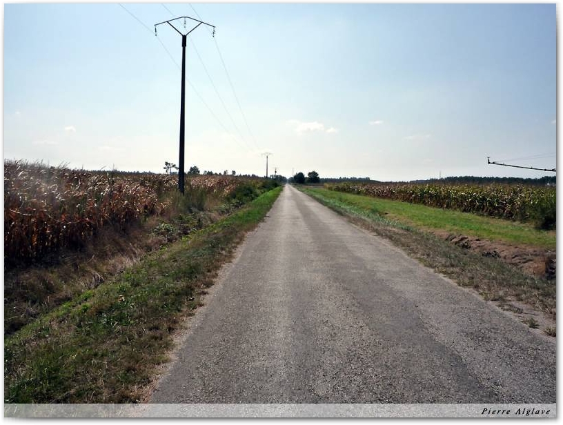 En chemin