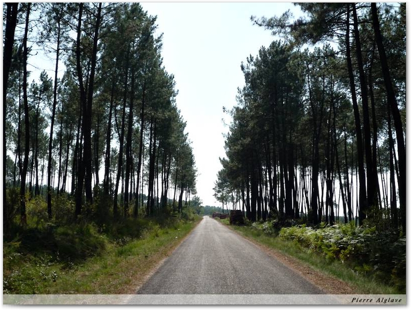 En chemin