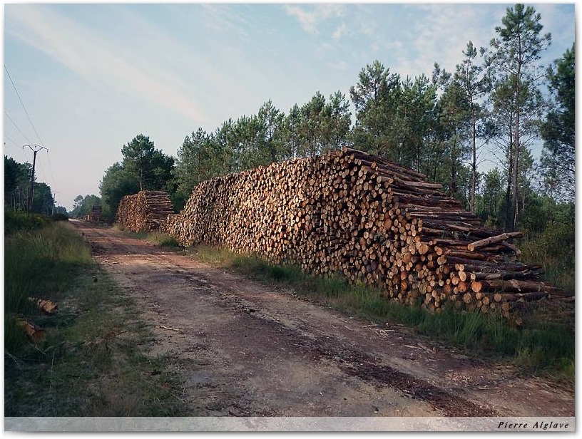 En chemin