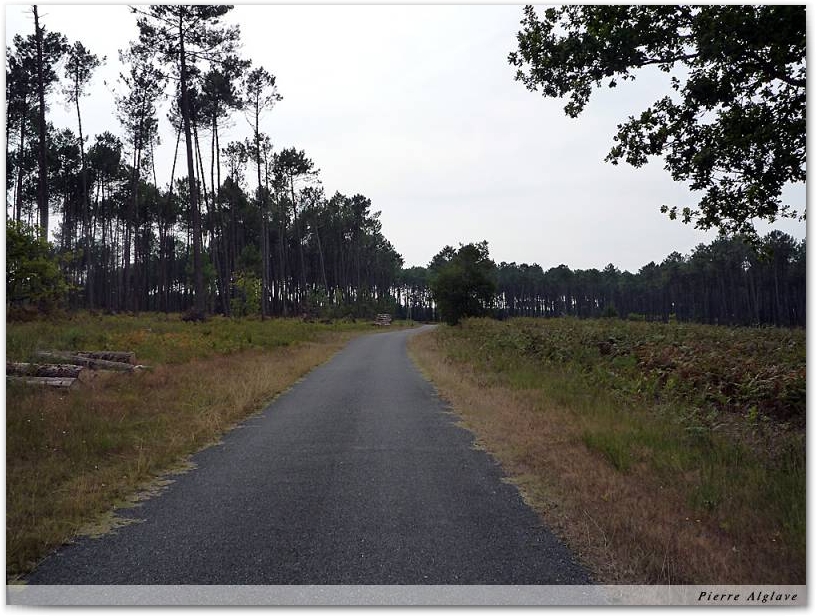 En chemin