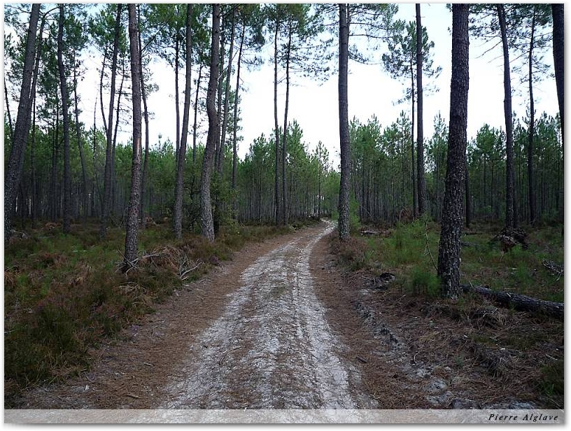 En chemin