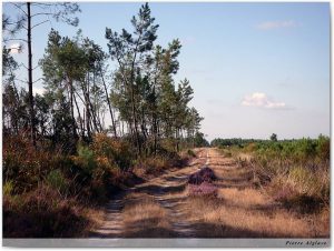 Le chemin