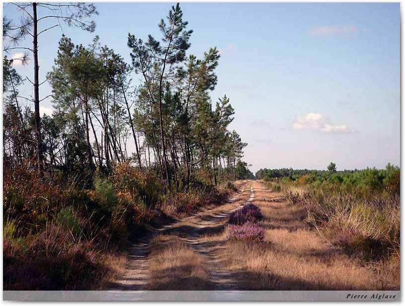 Le chemin