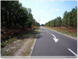 En chemin