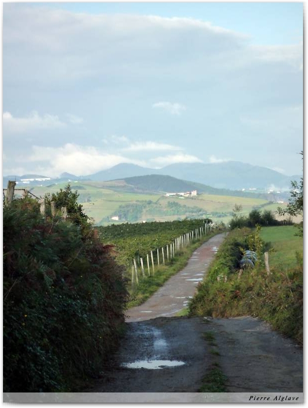 Le chemin