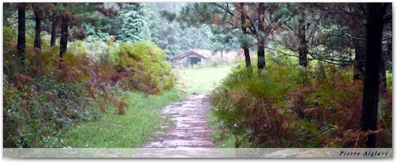 En chemin