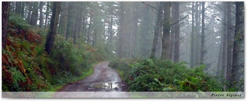 En chemin