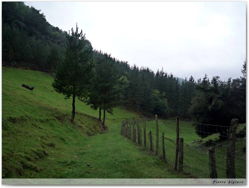 En chemin