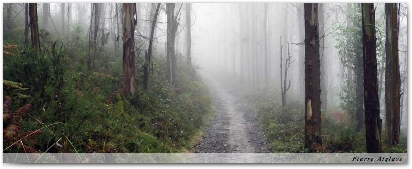 En chemin